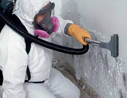 Biohazard Mold Removal in Anoka, MN